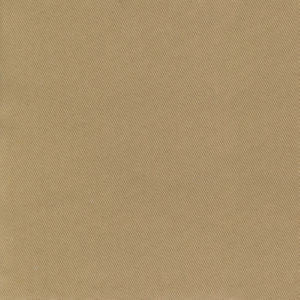 Trace Camel by Norbar Designer Fabric CAMPO 100% COTTON USA 55 - Swanky Fabrics -