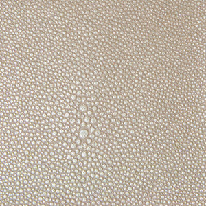 TREZZO.11.0 by Kravet Designer Fabric