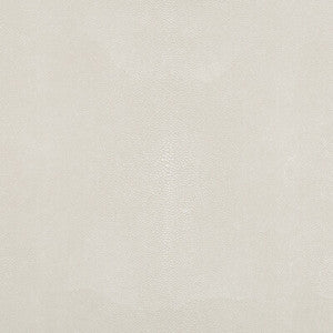 TREZZO.1.0 by Kravet Designer Fabric