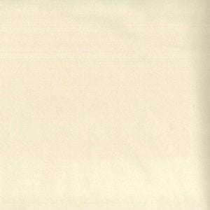 Trophy Champagne 207 by Norbar Designer Fabric