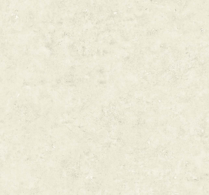 Cement Faux Oyster & Metallic Champagne TS81215 by Seabrook Designs Designer Wallpaper