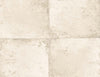Foundation Sphynx TS81505 by Seabrook Designs Designer Wallpaper
