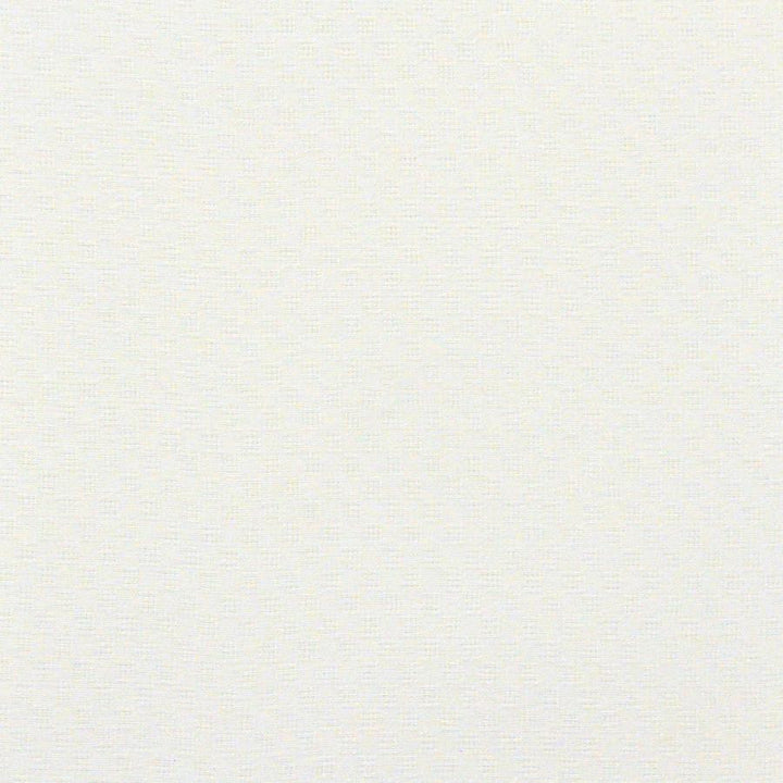 Tiber # 549 Snow by Maxwell Designer Fabric Sheer Paths 100% POLYESTER TURKEY V-0.75"H-0.75" 118" - Swanky Fabrics -