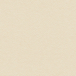 Tannery-Nj # 124 Buff by Maxwell Designer Fabric