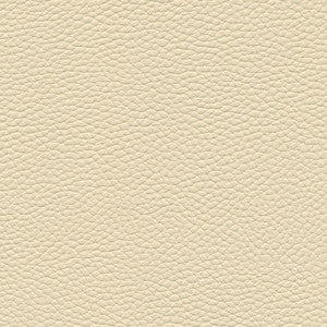 Tebessa-Nj # 137 Natural by Maxwell Designer Fabric