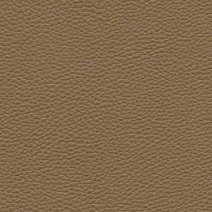 Tebessa-Nj # 145 Coconut by Maxwell Designer Fabric