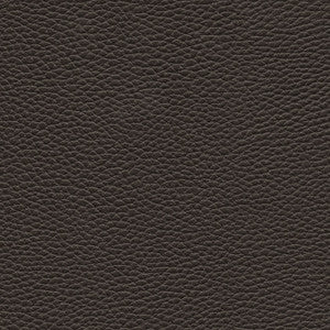 Tebessa-Nj # 147 Star Anise by Maxwell Designer Fabric