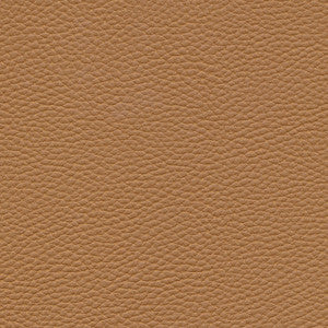 Tebessa-Nj # 150 Pinto by Maxwell Designer Fabric
