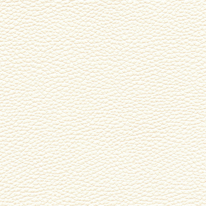 Tebessa-Nj # 151 Ivory by Maxwell Designer Fabric Memos Only-Coated Fabrics FACE: 100% PVC
BACKING: 100% POLYESTER VIETNAM 54" - Swanky Fabrics -