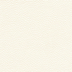 Tebessa-Nj # 151 Ivory by Maxwell Designer Fabric