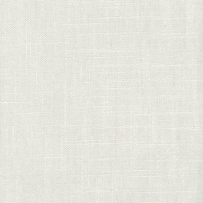 Tucker Snow by Magnolia Designer Fabric - 36Poly/26Ctn/22Visc/16Lin China 30000 Horizontal: 0 and Vertical: 0 54" - Swanky Fabrics -