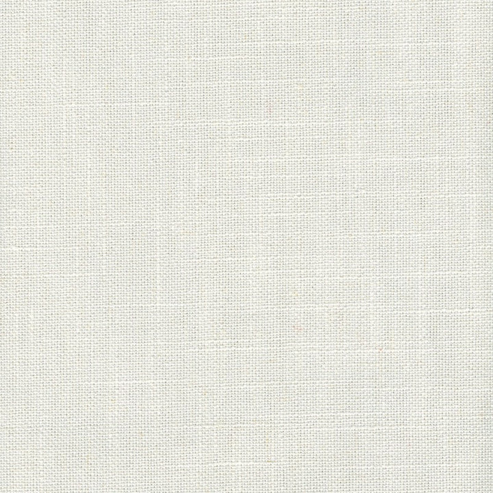 Tucker Snow by Magnolia Designer Fabric - 36Poly/26Ctn/22Visc/16Lin China 30000 Horizontal: 0 and Vertical: 0 54" - Swanky Fabrics -