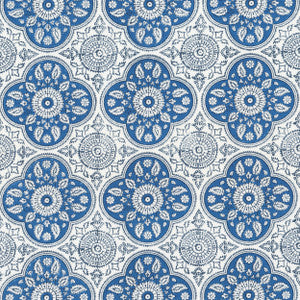 Tucson 1 Bluebird by Aoc Designer Fabric