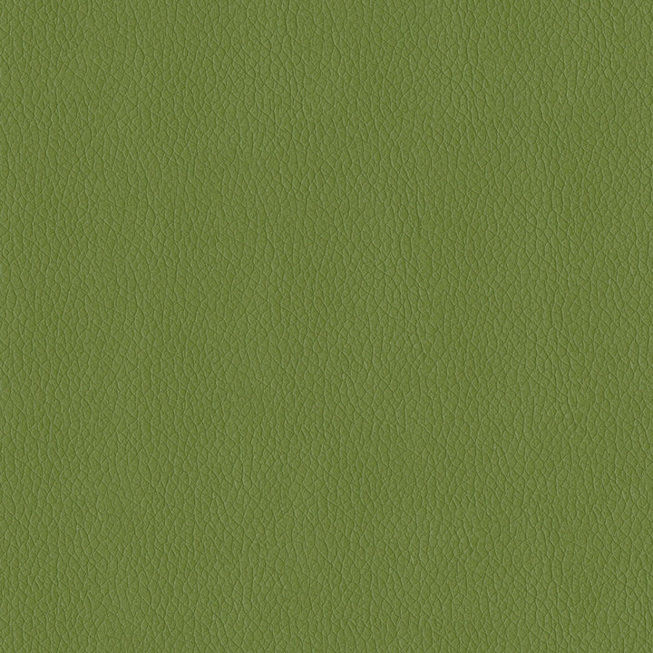 Miami 205 Sprig by ABBEYSHEA Designer Fabric N/A 90% Polyester, 10% Rayon China 60,000 Double Rubs </p><p>Repeat: Horizontal: and Vertical: 54" (137 cm) - Swanky Fabrics -