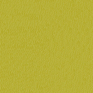 Miami 54 Citron by ABBEYSHEA Designer Fabric