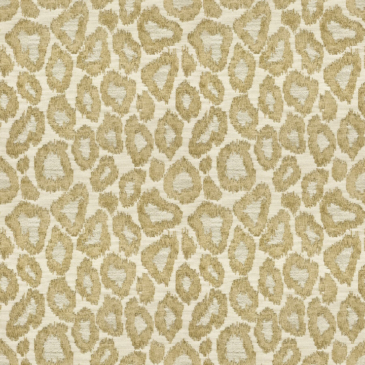 Tutsi 1 Taupe by Stout Fabric Stout Fabric Tutsi 1 TaupeFabric RAINBOW LIBRARY MUSHROOM/TAUPE TURKEY </p><p>Repeat: H: 13.500, V: 13.500 54 in - Fabric Carolina -