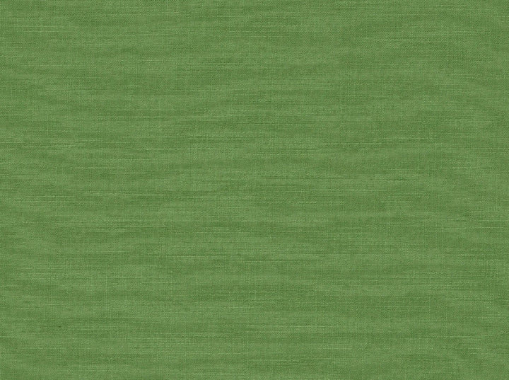 Hp-Tutti Frutti 251 Island Green by Covington Designer Fabric Covington Right 19.5 29.25 0 0 by product