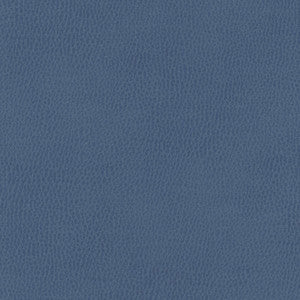 Top Grain-Nj # 843 Sea Bed by Maxwell Designer Fabric