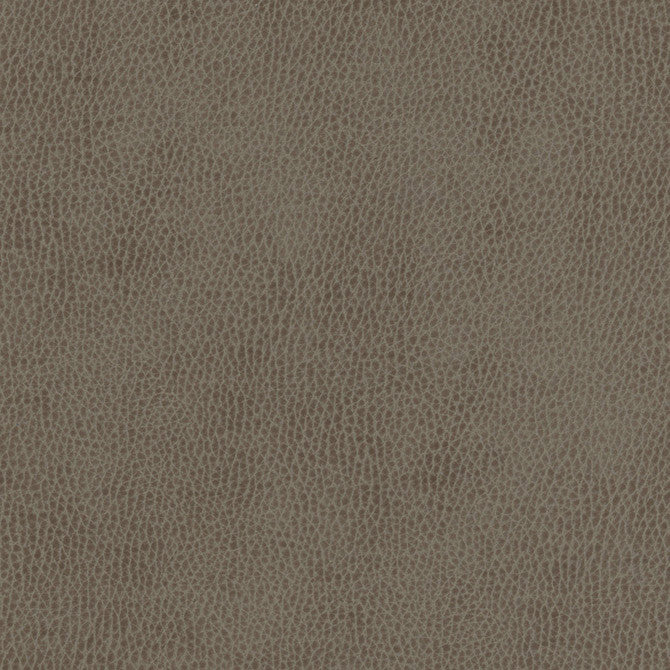 Top Grain-Nj # 846 Campolina by Maxwell Designer Fabric Memos Only-Coated Fabrics FACE: 100% SILICONE
BACKING: 100% POLYESTER KOREA 54" - Swanky Fabrics -