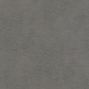 Top Grain-Nj # 850 Cement by Maxwell Designer Fabric