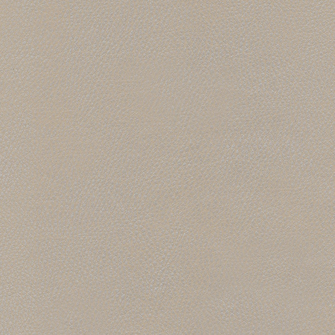 Top Grain-Nj # 861 Criollo by Maxwell Designer Fabric Memos Only-Coated Fabrics FACE: 100% SILICONE
BACKING: 100% POLYESTER KOREA 54" - Swanky Fabrics -