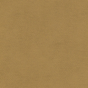 Top Grain-Nj # 866 Coin by Maxwell Designer Fabric