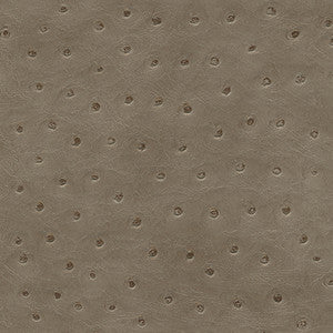 Twitter-Nj # 290 Pigeon by Maxwell Designer Fabric