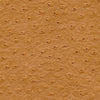 Twitter-Nj # 295 Autumn by Maxwell Designer Fabric