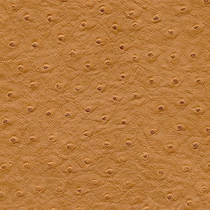Twitter-Nj # 295 Autumn by Maxwell Designer Fabric
