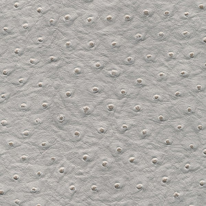 Twitter-Nj # 297 Horizon by Maxwell Designer Fabric