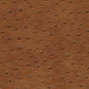 Twitter-Nj # 300 Ginger by Maxwell Designer Fabric
