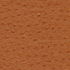 Twitter-Nj # 301 Garam Masala by Maxwell Designer Fabric