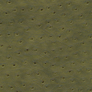 Twitter-Nj # 302 Sage by Maxwell Designer Fabric