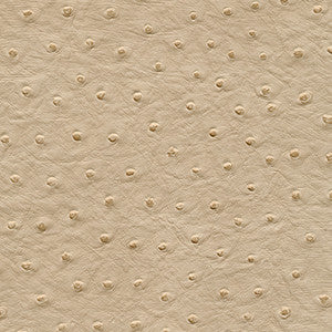 Twitter-Nj # 305 Husk by Maxwell Designer Fabric
