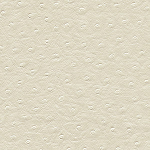Twitter-Nj # 306 Daisy by Maxwell Designer Fabric