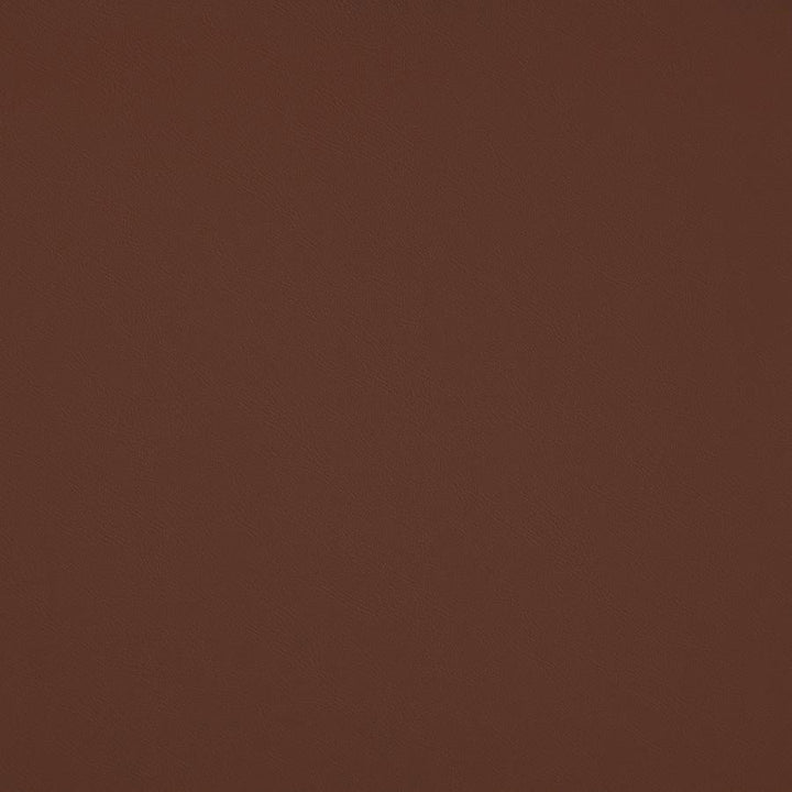 Trailrider # 101 Cedar by Maxwell Designer Fabric Trailrider FACE: 100% POLYURETHANE (POLYCARBONATE)
BACKING: 100% POLYESTER CHINA 54" - Swanky Fabrics -