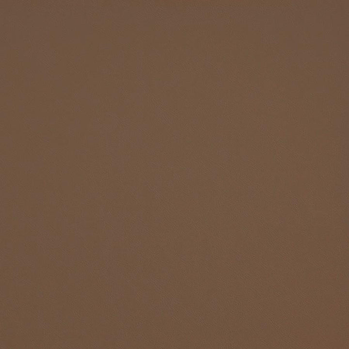 Trailrider # 107 Tan by Maxwell Designer Fabric Trailrider FACE: 100% POLYURETHANE (POLYCARBONATE)
BACKING: 100% POLYESTER CHINA 54" - Swanky Fabrics -