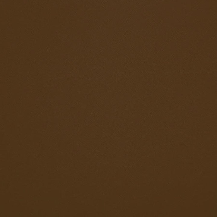 Trailrider # 108 Cognac by Maxwell Designer Fabric Trailrider FACE: 100% POLYURETHANE (POLYCARBONATE)
BACKING: 100% POLYESTER CHINA 54" - Swanky Fabrics -