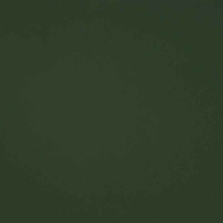Trailrider # 109 Grass by Maxwell Designer Fabric Trailrider FACE: 100% POLYURETHANE (POLYCARBONATE)
BACKING: 100% POLYESTER CHINA 54" - Swanky Fabrics -