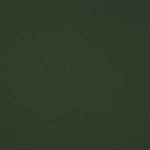 Trailrider # 109 Grass by Maxwell Designer Fabric
