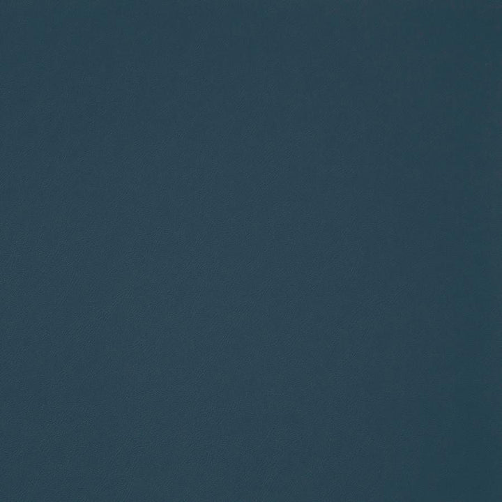 Trailrider # 110 Ocean by Maxwell Designer Fabric Trailrider FACE: 100% POLYURETHANE (POLYCARBONATE)
BACKING: 100% POLYESTER CHINA 54" - Swanky Fabrics -