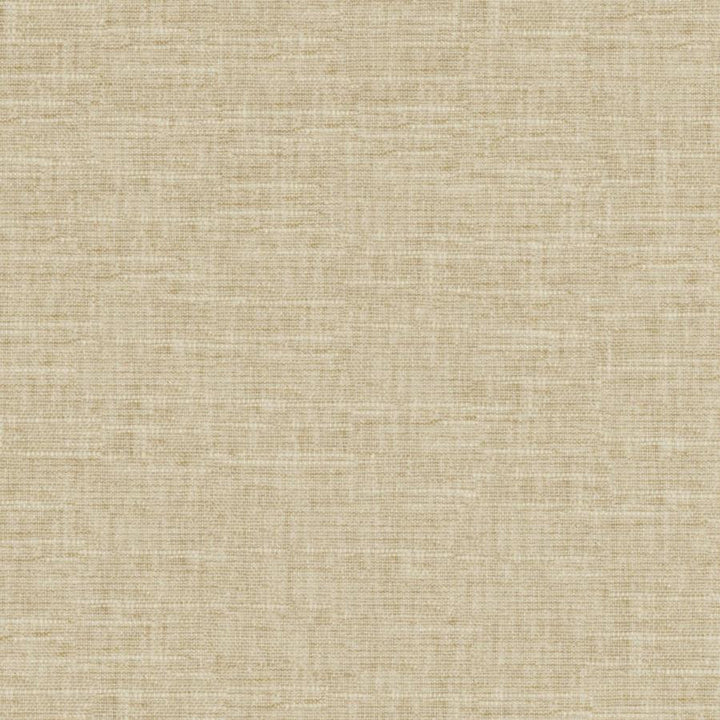 Tambo # 505 Seagrass by Maxwell Designer Fabric Pure & Simple Xvii 58% COTTON
42% POLYESTER INDIA 54" - Swanky Fabrics -