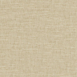 Tambo # 505 Seagrass by Maxwell Designer Fabric