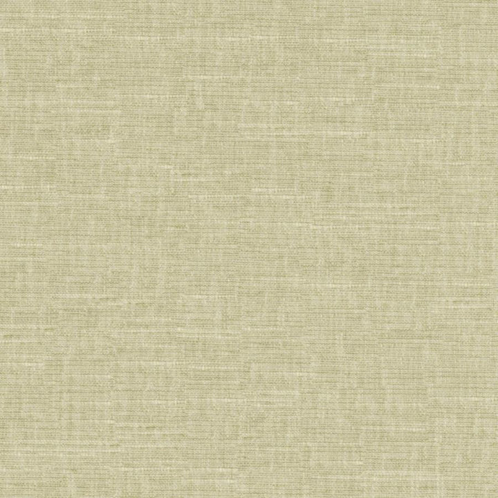 Tambo # 518 Matcha by Maxwell Designer Fabric Pure & Simple Xvii 58% COTTON
42% POLYESTER INDIA 54" - Swanky Fabrics -