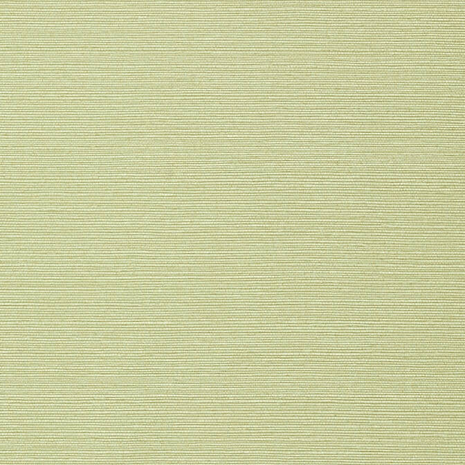 Taluk Sisal Willow TWW75153 by Thibaut Wallpaper Thibaut Wallpaper Taluk Sisal Willow TWW75153Wallpaper Texture Resource 6 Non-Woven Vinyl Wallpaper U.S.A. </p><p>Repeat: V: 21 54 - Fabric Carolina -
