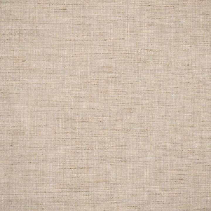 Tyrone # 638 Linen by Maxwell Designer Fabric Color Theory-Vol.Viii Tigerseye 100% POLYESTER INDIA 54" - Swanky Fabrics -