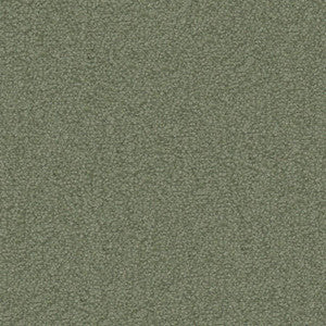 Texel # 1015 Sage by Maxwell Designer Fabric