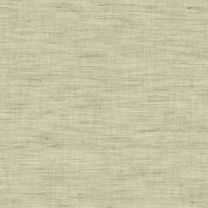 Tyler 1 Celery by Stout Fabric Stout Fabric Tyler 1 CeleryFabric COLOR MY WINDOW HAZE/SHORELINE 100%POL INDIA </p><p>Repeat: H: 0.000, V: 0.000 54 in - Fabric Carolina -