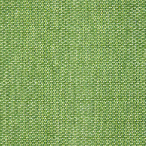42082-0024 Tailored Cilantro by Sunbrella Designer Fabric