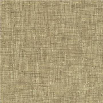 Tao Texture Burlap by Kasmir Designer Fabric